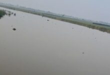 UTTARPRADESH