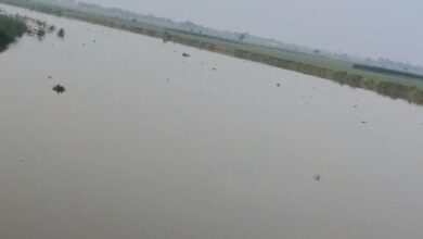 UTTARPRADESH
