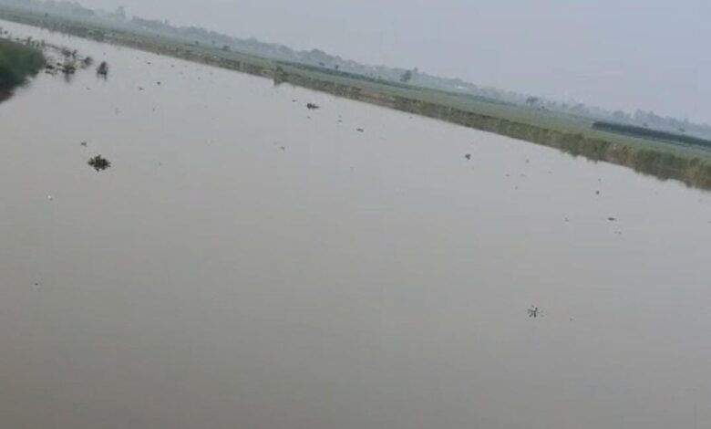 UTTARPRADESH